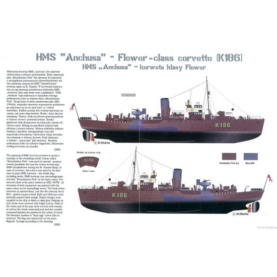HMS ANCHUSA (K186) t.Flower - 1/350